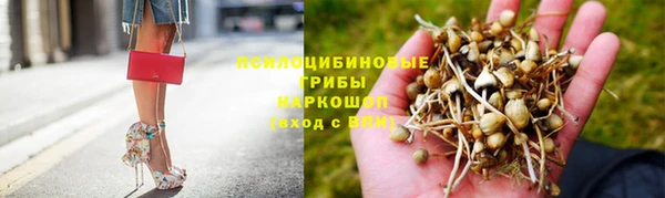 бошки Покачи