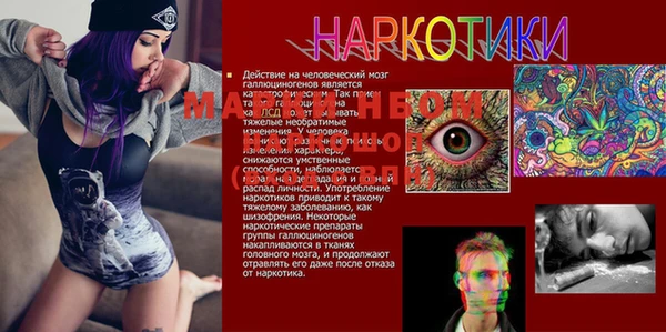 бошки Покачи