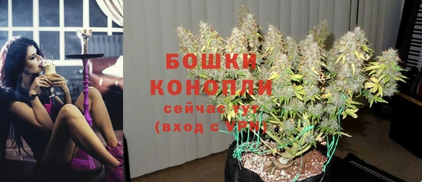 бошки Покачи
