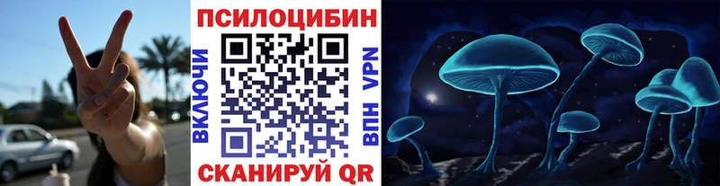 Псилоцибиновые грибы GOLDEN TEACHER  мориарти телеграм  Выборг 