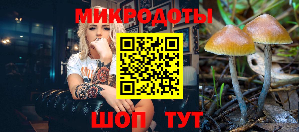 Галлюциногенные грибы Magic Shrooms Выборг